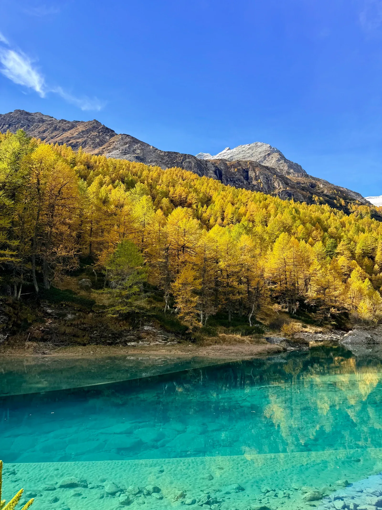 Lac turquoise au pied de montagnes et de mélèzes en automne